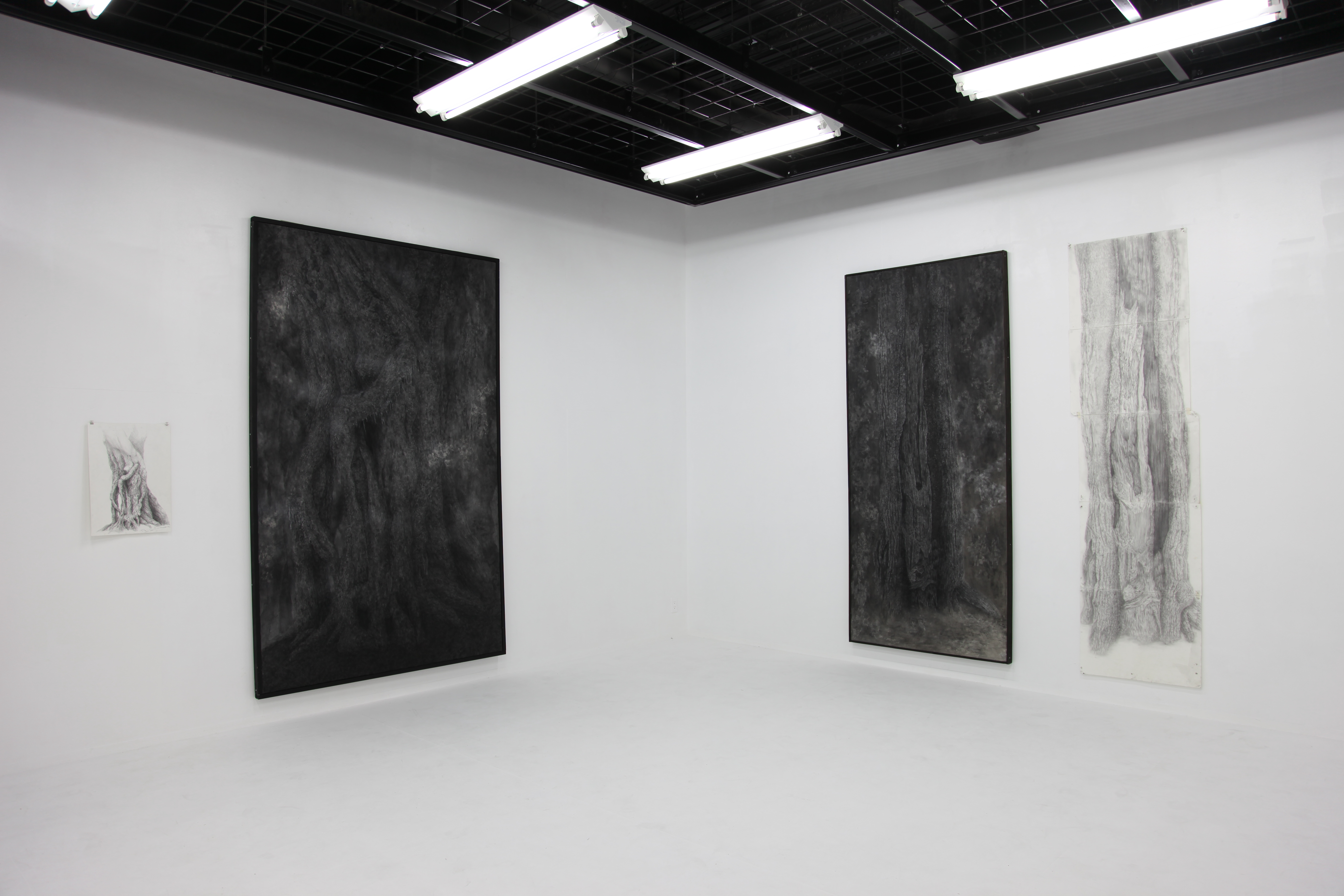 日本画と写生の展示