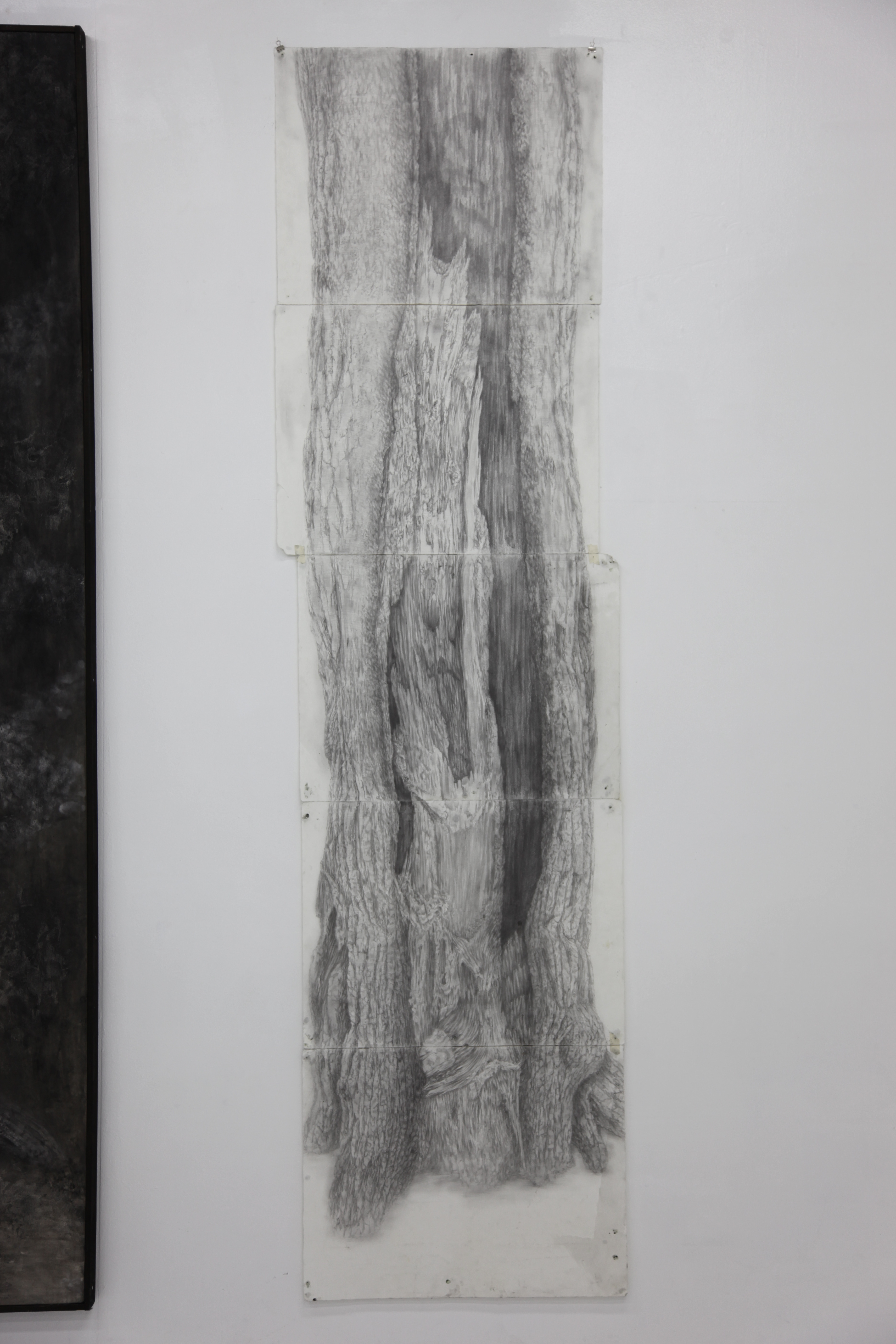 大きな木を描いた写生