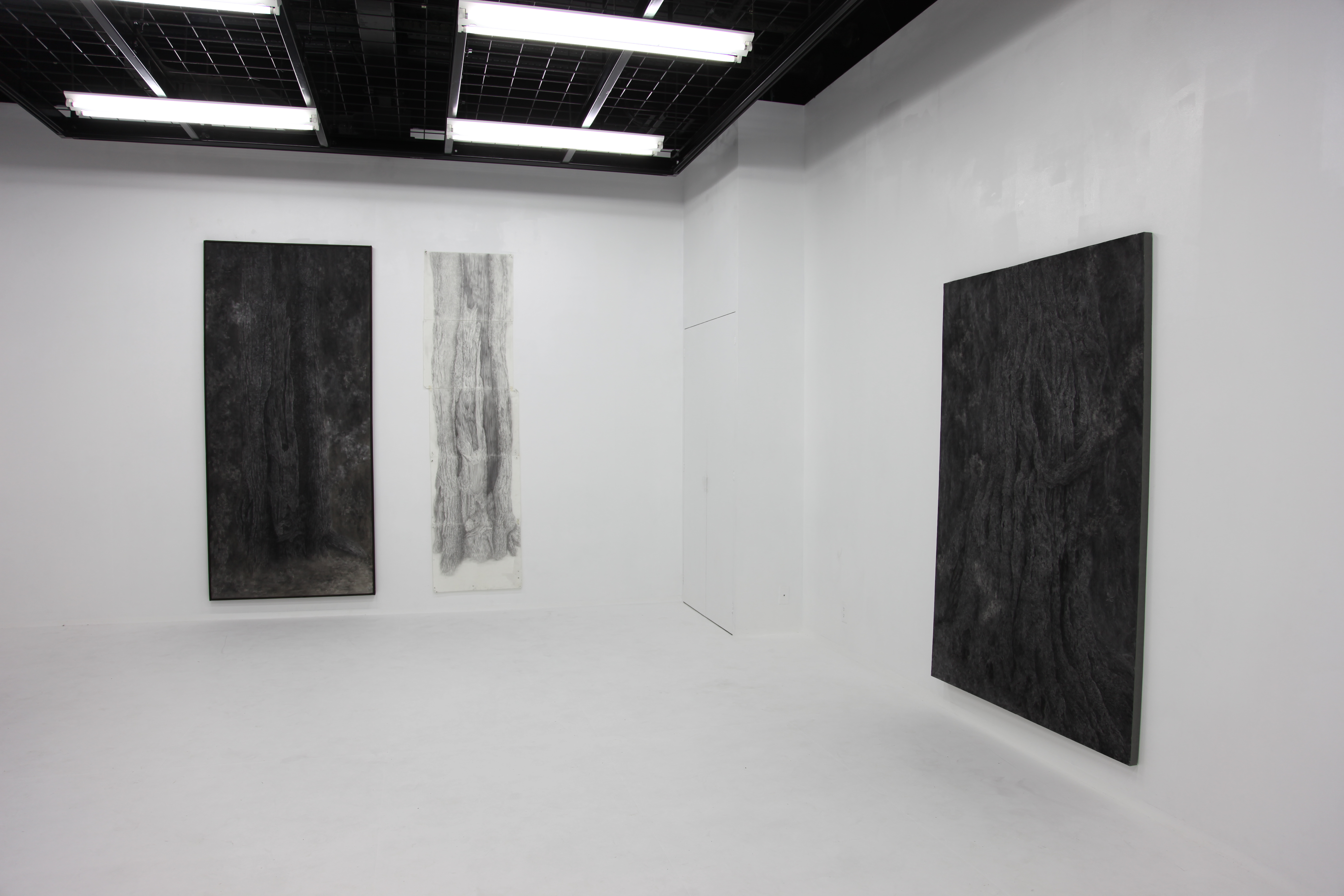 壁にかけられて展示されている絵